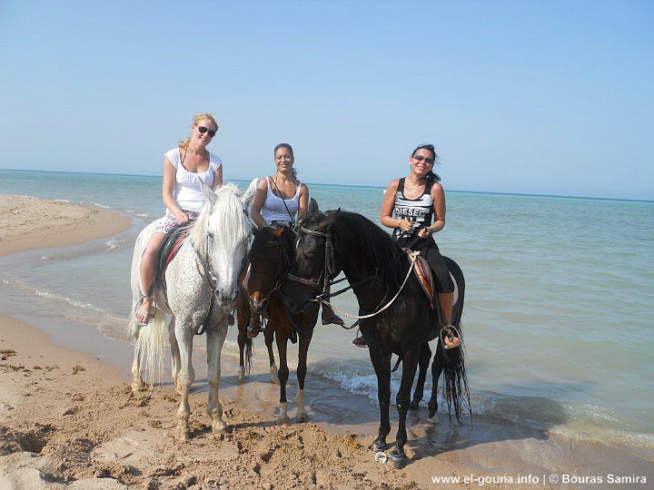 Yalla Horse Stables 0007